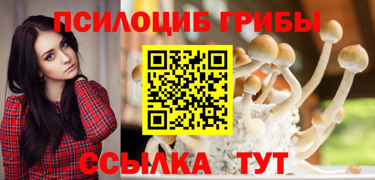 Псилоцибиновые грибы Magic Shrooms  магазин    Нижний Новгород  Вход с VPN 