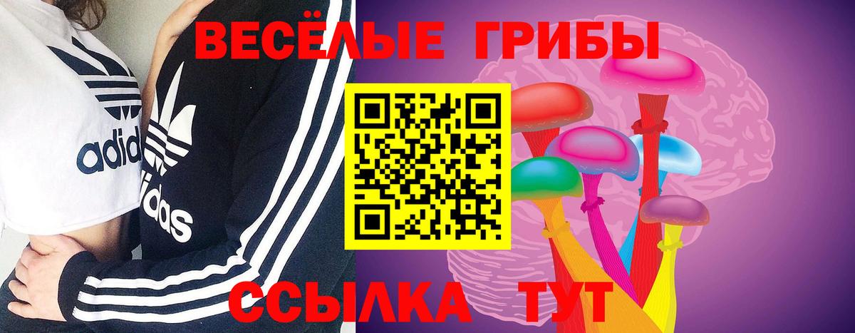 Галлюциногенные грибы Magic Shrooms Нижний Новгород